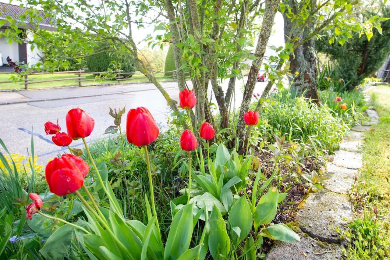 Schoene Und Helle Ferienwohnung In Pfaffenweiler Villingen-Schwenningen Eksteriør bilde