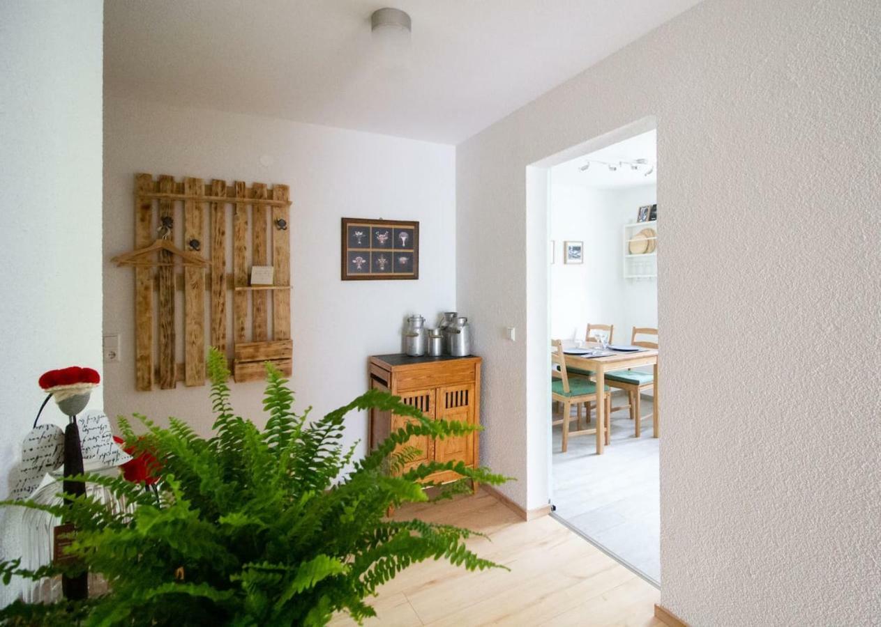 Schoene Und Helle Ferienwohnung In Pfaffenweiler Villingen-Schwenningen Eksteriør bilde